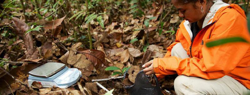 Processos da Gestão Ambiental