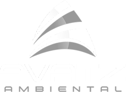 Avatz 