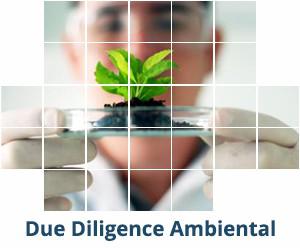 Due Diligence Ambiental (Serviços)